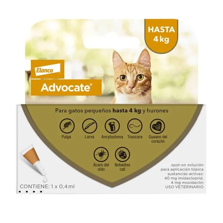 Advocate gatos
