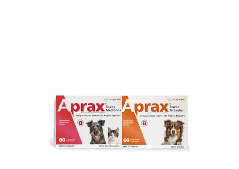 Aprax perros
