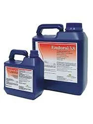 Endoral