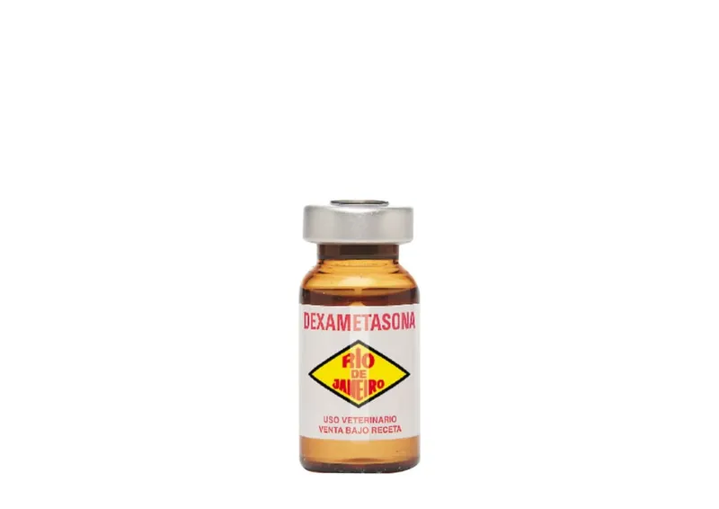 Dexametasona RJ