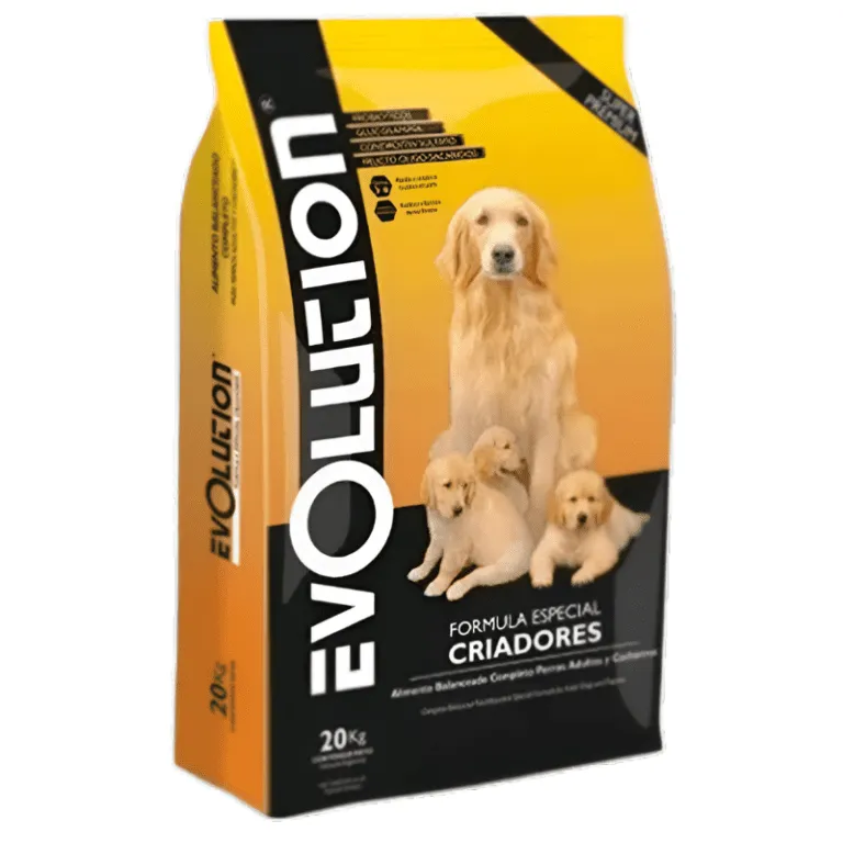 Evolution Perros y Gatos
