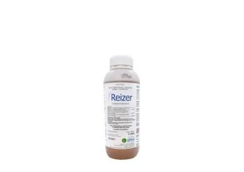Reizer