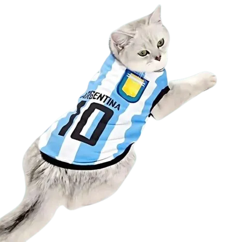 Ropa y accesorios