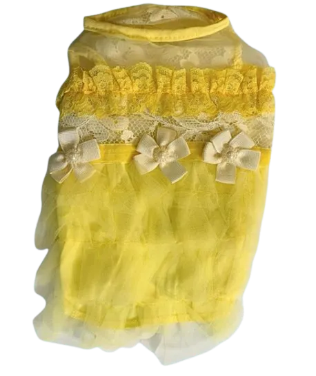 Ropa y accesorios