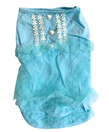 Ropa y accesorios