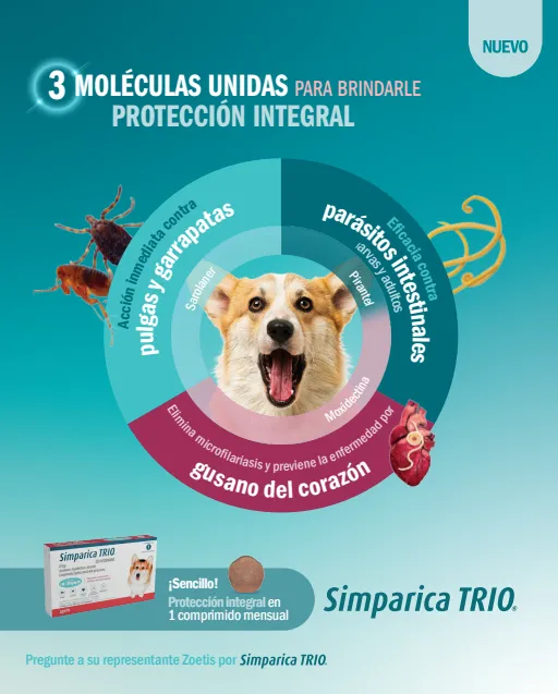 Simparica Trio