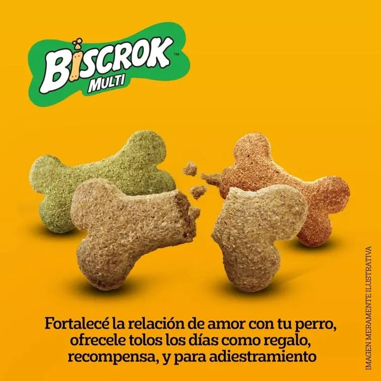 Snacks para perros