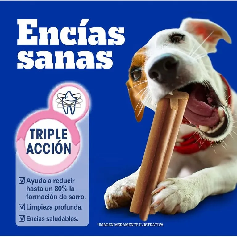 Snacks para perros